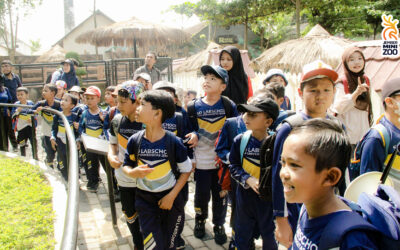 SD Labschool FKIP Universitas Jember Gelar Outing Class di Mini Zoo Jember
