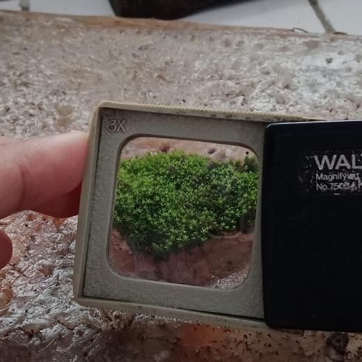 22222222222222222222