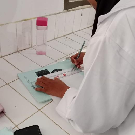 333333333333333333333