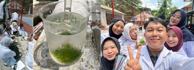 Kuliah Asik di Pendidikan Biologi UNEJ : Mahasiswa Buktikan Proses Fotosintesis dan Faktor Penentunya Lewat Praktikum Fisiologi Tumbuhan