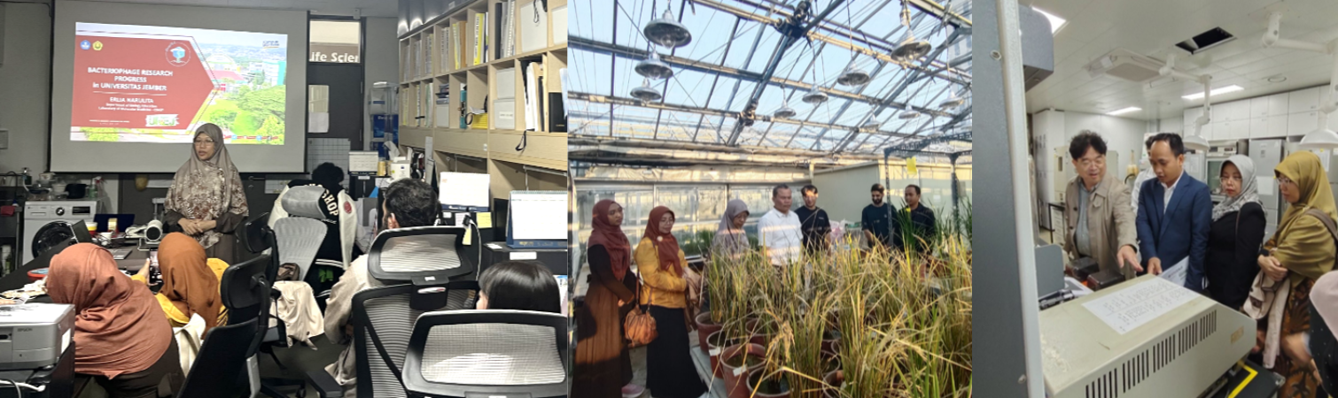 prodipbiokolaborasi1