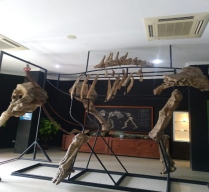 museum Sangiran